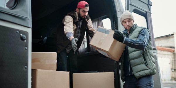 pexels-tiger-lily-4487512